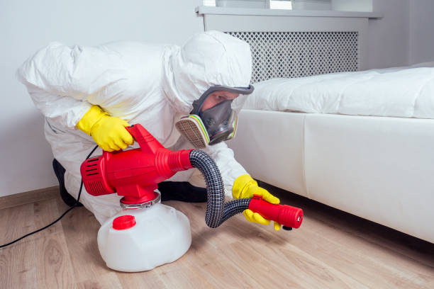 Best Fumigation Services  in Shorewood, MN